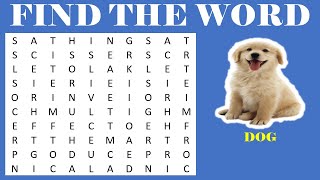 Word Game | Word Search | Puzzle | Find the Hidden Words | Word search finder | Find Words #10
