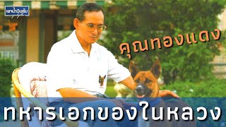 เรื่องราวน่ารักกับ สุนัขทรงเลี้ยง ของในหลวง ร.9