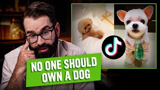 Matt Walsh Reviews Adorable Dog Videos