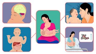 Importance of Breastfeeding -Hindi-स्तनपान कराने का महत्व