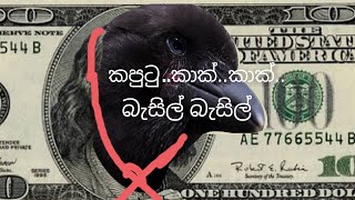 kaputu kaaak kaaak kaak basil(කපුටු කාක් කාක් කාක් බැසිල් බැසිල් ) Remix song HD voice#gohomegota