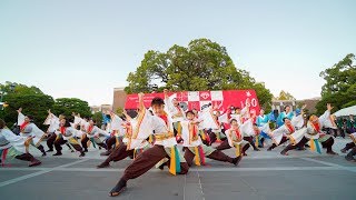 [4K] 神戸大学よさこいチーム山美鼓　１演舞目　のつきみ祭 2018