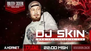 Molotov Cocktail #049 - Dj Skin [RUS] guest Big Beat mix (01.02.2018)