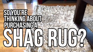 Thinking of buying a SHAG RUG? HAVE KIDS? WATCH THIS!!!