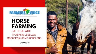 Famers Voice: Horse Farming  Business in Botswana- 2022 (Ep 10)