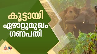 തളർന്നുവീണ ആനയ്ക്ക് താങ്ങായി ഏഴാറ്റുമുഖം ഗണപതി | Ezhattumugham Ganapathy | athirappilly