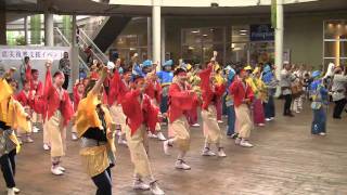 総踊り(鳴子華・2011・東日本大震災復興支援イベント・ワカバウォーク)