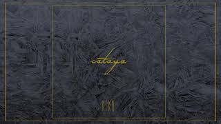 cataya - firn [Full Album]