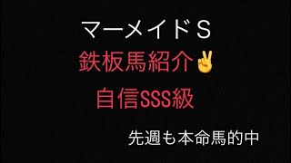 【マーメイドS 2023 予想】調教抜群！ハンデ差を加味してこの馬で勝負！！