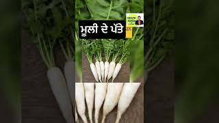 ਮੂਲੀ ਦੇ ਪੱਤੇ #health #healthtips #food #healthylifestyle #mooli