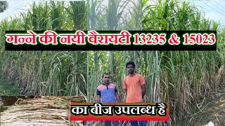 गन्ने की नयी वैरायटी 13235 \u0026 15023 उपलब्ध है // New Variety 13235 \u0026 15023 Sugarcane Seed Available