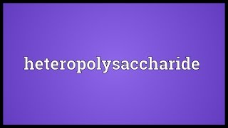 Heteropolysaccharide Meaning