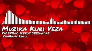 Muzika Kuri Veža - Valentino Dienos Stebuklas! ( VainHouse Remix )