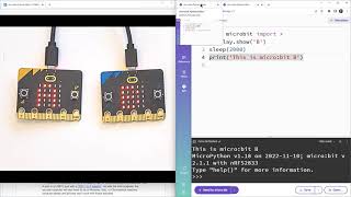 microbit Python Editor V3 WebUSB Tests for Two microbits
