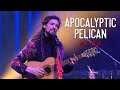 Apocalyptic Pelican by Heat Speak | Inland Sessions