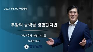 일양교회 주일예배(2023년 04월 09일)