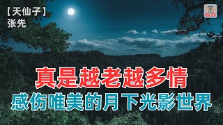 真是越老越多情，感伤唯美的月下光影世界，成名之作！【天仙子】 张先（宋）-赏诗词讲故事