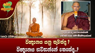 Ven Pothanegama Somarathana Thero | 2022-03-13 | 11:30 AM (විඥානය යනු කුමක්ද? විඥානය හටගන්නේ කෙසේද?)