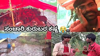 ಸಂಚಾರಿ ಕುರುಬರು ಕಣ್ಣೀರಲ್ಲಿ ಕೈತೊಳೆದುರು || Pira bilikuri vlogs