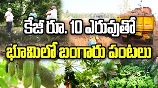 జీవన ఎరువులతో రైతు భూమికి పునరుజ్జీవనం | Natural Fertilizer | Narayana Prasad