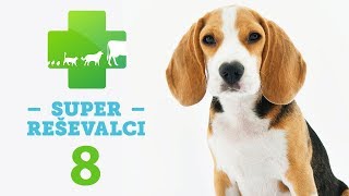 Super Reševalci 8. oddaja