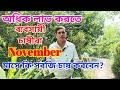 November মাসে এই সবজিগুলো চাষ করে সব থেকে বেশি লাভ করুন।। vegetable cultivation||সবজি চাষ||