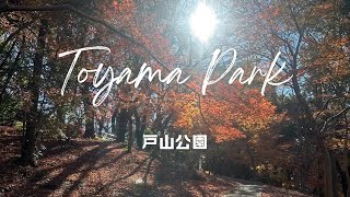 Winter day in Tokyo（Toyama Park）東京での冬の一日（戸山公園）