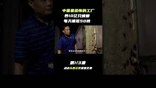 Pt1/3 养10亿只蟑螂，每天喂饭50吨，中国最恐怖工厂，政府为何还给补贴 【科普任意门】#shorts