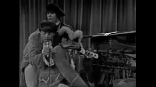 Paul Revere and the Raiders - Whole Lotta Shakin' Going On  TV 1966