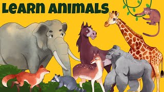 Animal Names for Kids - Toddler Learning Videos | Learn About Animals with Puzzles \u0026 Alphabet Review