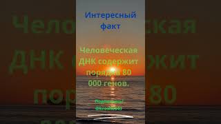 Интересный факт 15 #факты #music #facts #interestingfacts #youtubeshorts #тренды  #саморазвитие