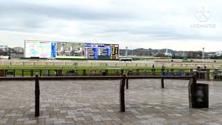 2020 ジャパンカップ　アーモンドアイ　本馬場入場　現地撮影