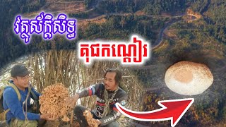 ជួបសំបុកស្ដេចកណ្តៀរ ដំណើរផ្សងព្រេងរកគុជកណ្ដៀរជាវត្ថុស័ក្តិសិទ្ធ