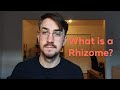 What is a Rhizome? | Gilles Deleuze and Félix Guattari | Keyword