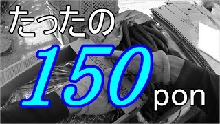 誤って朝穫りＡ品長箱出来ちゃいました(;'∀')本日はお疲れ様でした!!／きゅうり農家／きゅうり栽培／愉快なshata農園