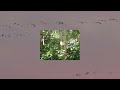 Cornelia Murr - All Souls [Official Video]