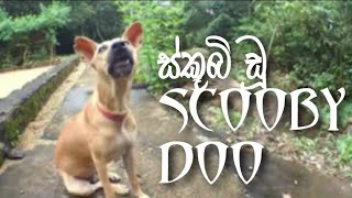 කොස්කැලේට යාලුවෙක් එක්ක Koskale #225