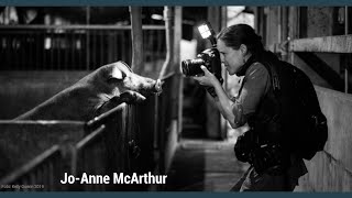 HIDDEN: Animals in the Anthropocene // Jo-Anne McArthur
