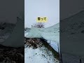 雪の威力 ニワトリのいる暮らし