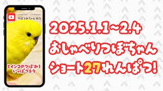 【おしゃべりインコのつぼみ】爆笑一発ネタ27連発！