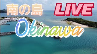 沖縄3年ぶり那覇マラソンコースをドライブ　雨ですがー　コース後輩間違いです