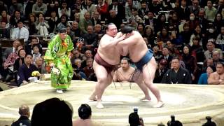 Ozeki Kisenosato (7-4) - Sekiwake Goeido (5-6) , Sumo : Hatsubasho '14