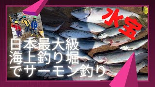 【海上釣り堀　水宝】日本最大級の海上釣り堀水宝　初めてのサーモン釣りを体験！この時期だけの特別なサーモン生簀