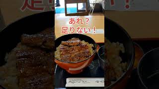 車で片道3時間かけてうなぎ丼食べてきた #shorts