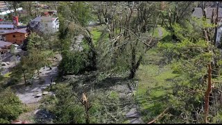 Baumpflege an Eiche in der Stadgärtnerei Zürich nach Sturmschäden im Sommer 2021