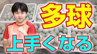 【卓球丼】カットマンが絶対上達する多球練習５選【卓球知恵袋】