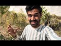 ॥ આજે આપડા subscriber મલી ગયા ॥ minivlog gujjubhaivlogs vlog lifestylevlog lifestylevideo