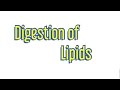 Digestion of Lipids || Biochemistry