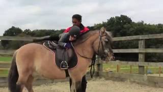 Trent Park Equestrian Centre Promotional Video