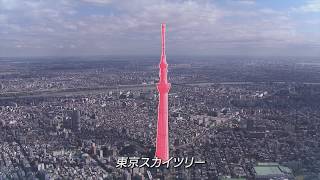 ヤマネ鉄工建設株式会社│施工実績映像2021（空撮版）